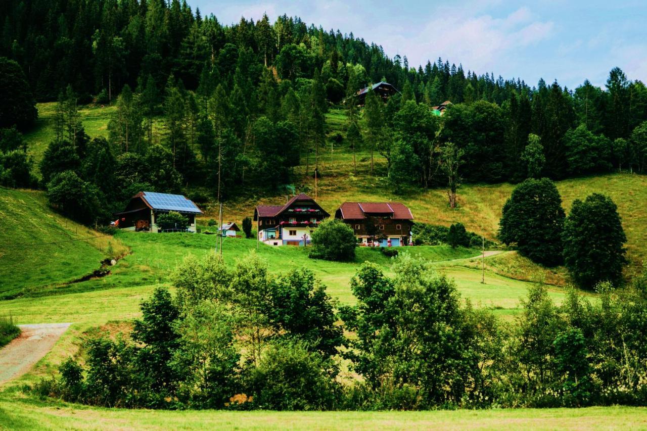 Appartement Vidmar-Wintertraum Arriach Kültér fotó