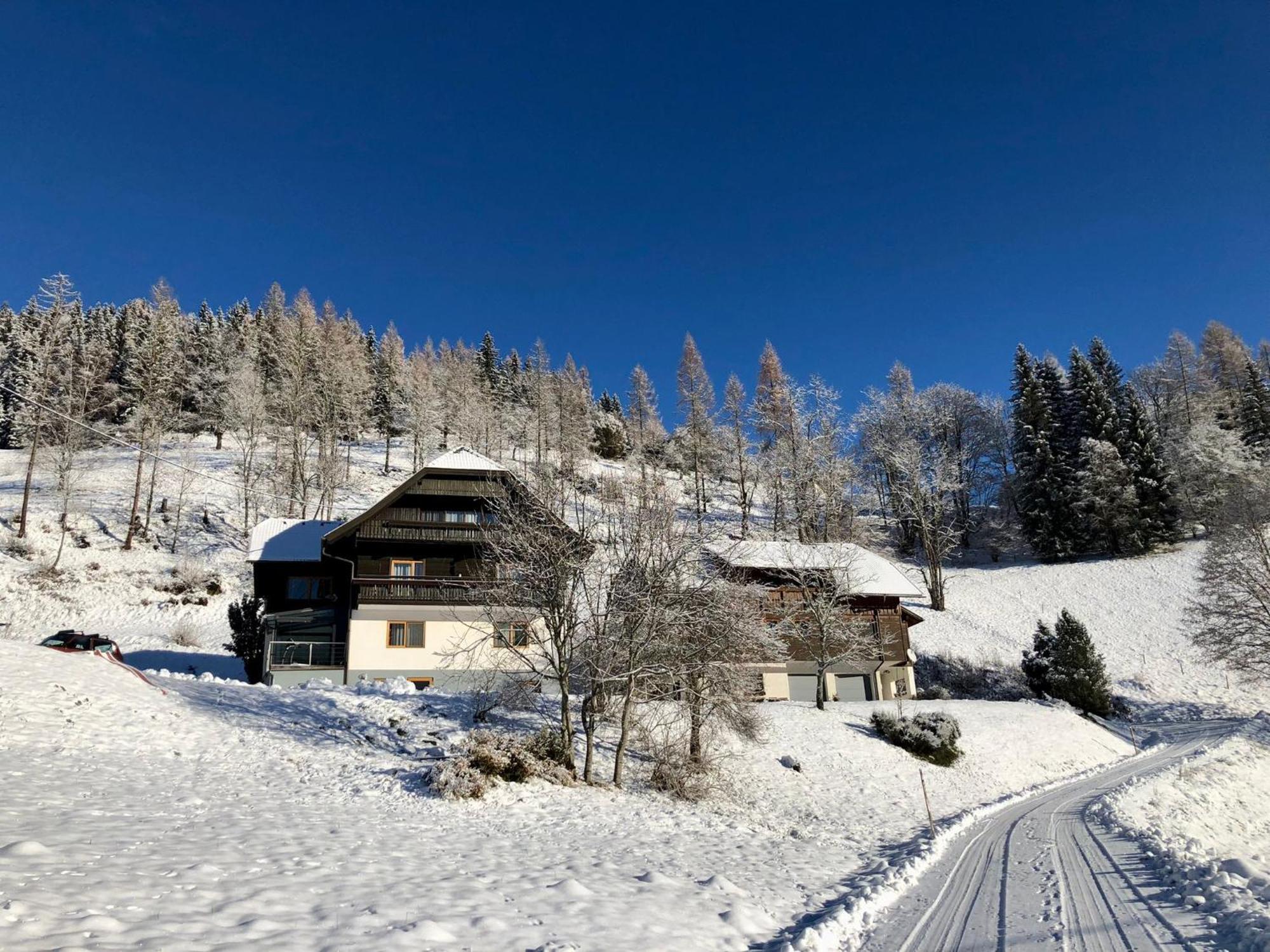 Appartement Vidmar-Wintertraum Arriach Kültér fotó