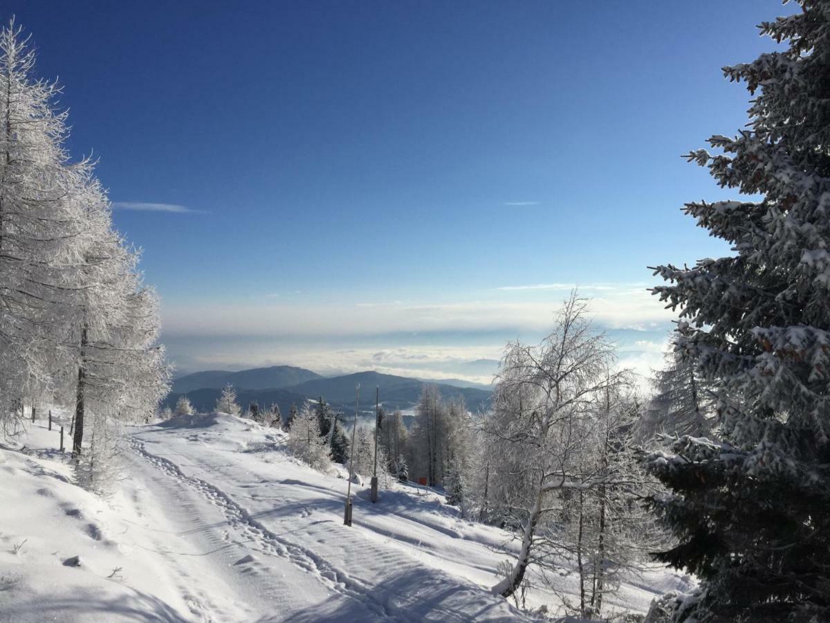Appartement Vidmar-Wintertraum Arriach Kültér fotó